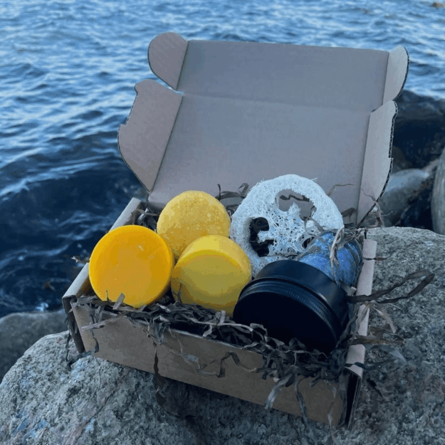 Kystnær sampakke med havtorn som er ved strandkanten