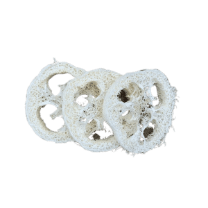 Loofah svamp fra Kystnær