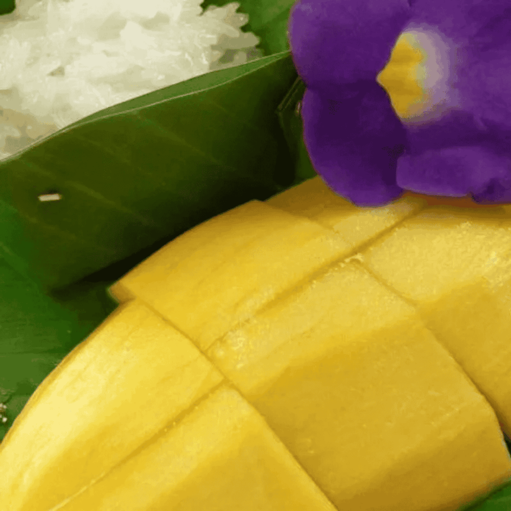 Coco Jambo Mambo Mango