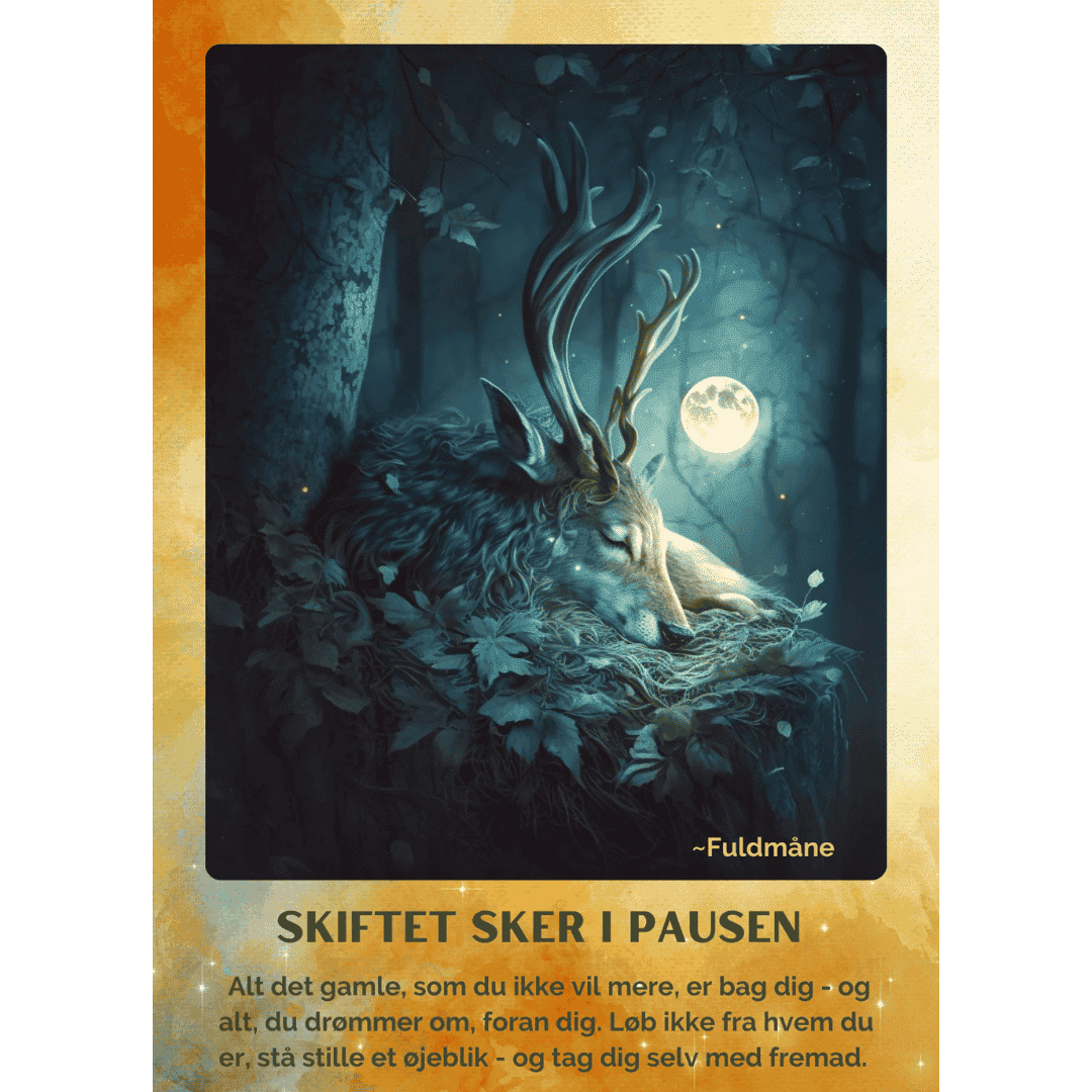 Enchanted Forest Orakelkort af Britta Baumann Orakelkort med skovånder og magiske væsener
